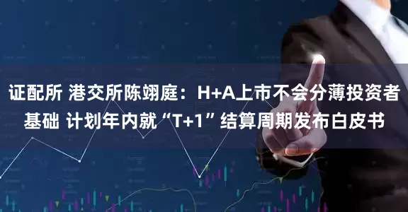 证配所 港交所陈翊庭：H+A上市不会分薄投资者基础 计划年内就“T+1”结算周期发布白皮书